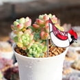 thumbnail image 3 of SouMaox Acrylic Potted Insert Planter Decoration Colorful Translucent Desktop Ornament Enhance Indoor Atmosphere for Home Office Balcony, 3 of 7