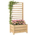 thumbnail image 1 of Outsunny Jardinière Surélevée en Bois avec Treillis et Trou de Drainage, 1 of 10