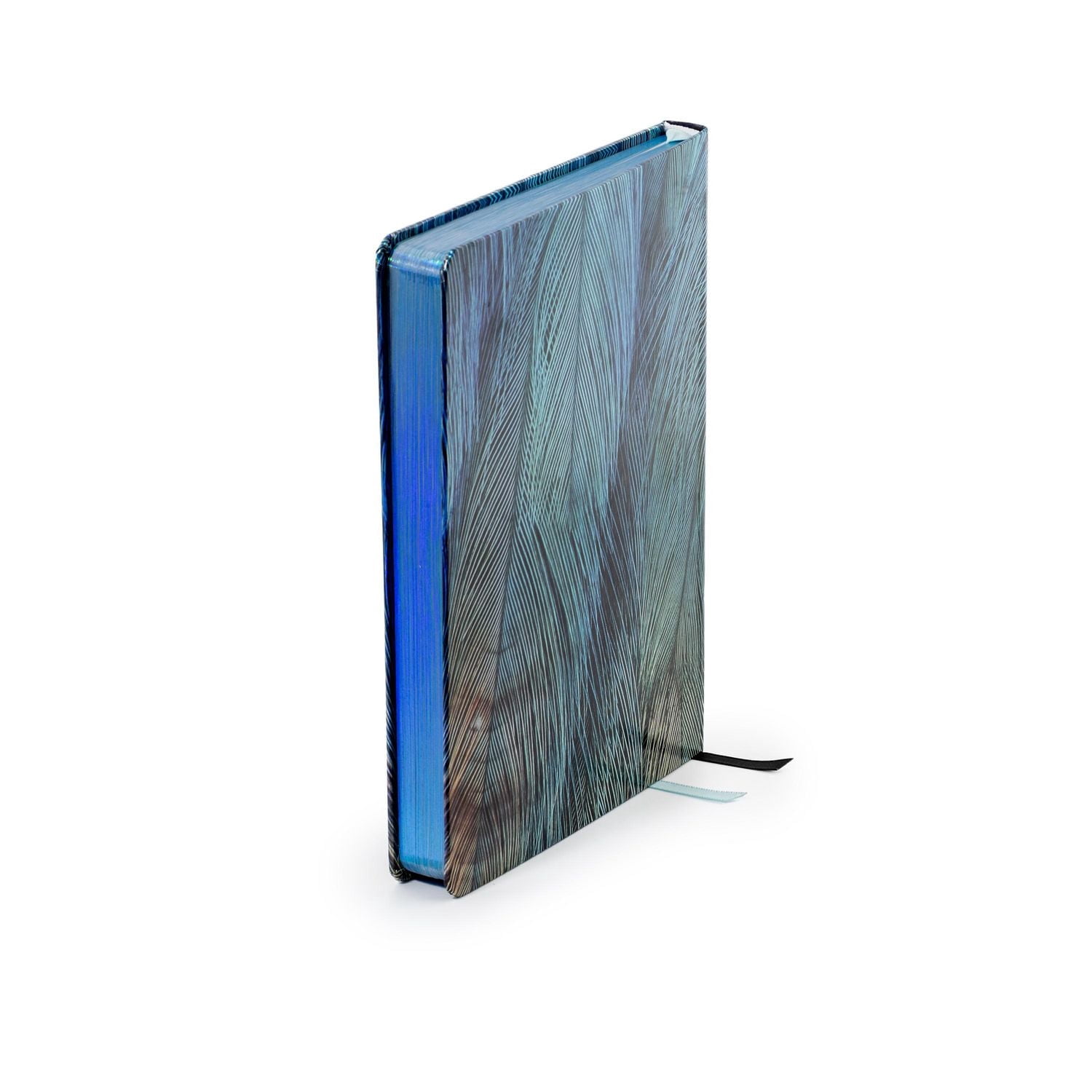 Journal Rigide Hilroy® Feather, 6X8