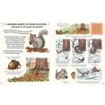 thumbnail image 4 of Slow Down: 50 Mindful Moments in Nature, 4 of 9