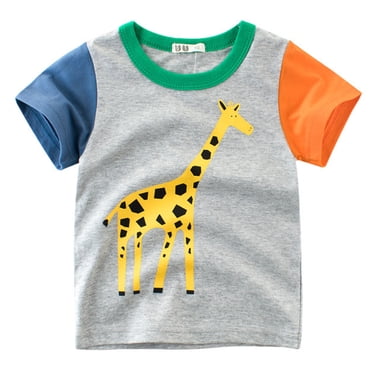 Boys' T-Shirts Cute Lion Printed Short Sleeve Casual Summer Tee Shirts Birthday Tshirt for Boys 5-6 Years