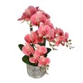 thumbnail image 2 of Vickerman FN180801 24 Po. Phal Blanc en Pot de Ciment Pétales Toucher Réel, 2 of 2