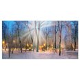 thumbnail image 2 of Winter at Mariinsky Gardens - Landscape Photography Canvas Print, 2 of 3