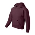 thumbnail image 3 of Hanes Big Boys Ribbed Waistband EcoSmart Pullover Hoodie, 3 of 4