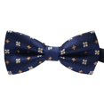 thumbnail image 1 of fastboy Cravate Formelle à Motif Coloré pour Hommes Adulte Homme Affaires Réunion Mariage Fil Polyester Nœud Papillon, 1 of 8