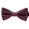 thumbnail image 1 of Baohd Men Colorful Pattern Formal Necktie Adult Male Business Meeting Wedding Polyester Yarn Bowtie, 1 of 9