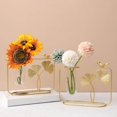 thumbnail image 3 of serony Nordic Hydroponics Vase Transparent Flower Planter for Desktop Decoration, 3 of 8