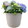 thumbnail image 4 of Hometrends 22in Holden Extra Large Grey Plastic Planter, 4 of 6