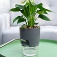 thumbnail image 4 of 2 Layer Plastic Plant Pots Self Watering Flower Planters Flower Pots for Indoor Outdoor with Cotton Rope, 4 of 9