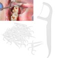 thumbnail image 4 of Clean Floss, Durable Clean And Hygienic Easy To Hold Plastic Floss  For Beauty Salon For Family, 4 of 8