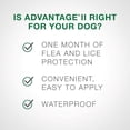 thumbnail image 2 of Advantage II Flea Treatment for Small Dogs, 2 of 8