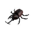 thumbnail image 2 of CNKOO Clearance Realistic Remote Control Toys Infrared Remote Control Simulation Creatures Best Gift, 2 of 6