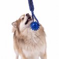 thumbnail image 3 of One Paw, Tug & Play Double Ball Rope Dog Toy, 10 inches, 3 of 7