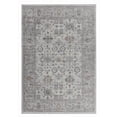 thumbnail image 2 of Rug Branch Sakarya Collection Oriental Distressed Indoor Area Rug, 2 of 6