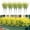 YE, variant on Amzcrzy P Lastic Simulated Lavender Outdoor Artificial Plants Indoor and Outdoor Hanging Plants Greening Gardens Porches Home Weddings Farmhouses Outdoor Decoration Terraces Home Decor