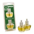 thumbnail image 4 of Claire Burke Recharge de Chauffe-Parfum Électrique Fresh Royal Fir - Lot de 2, 4 of 4