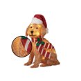 thumbnail image 3 of 24`` FLUFFY DOG, 3 of 4