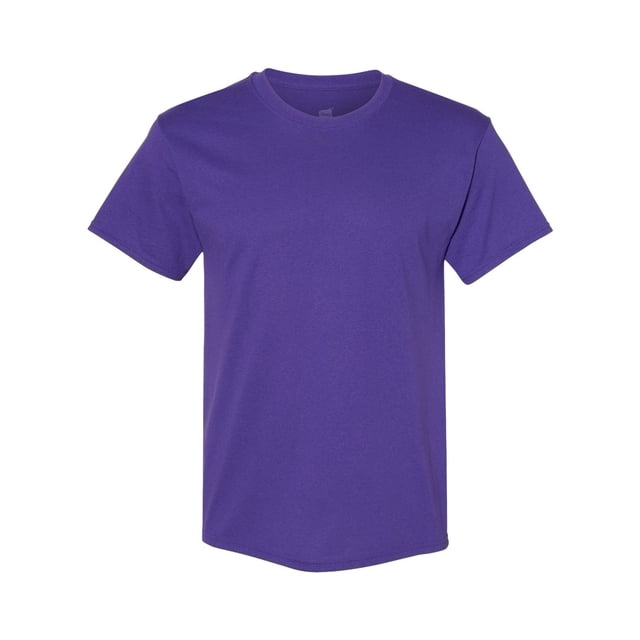 Hanes Men's Authentic-T T-Shirt