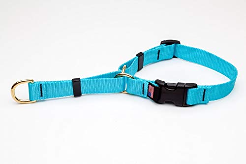 Deluxe Martingale Dog Collar Adjustable Heavy Soft Brass Hardware (Medium 15 to 20 Inches, Turquoise)