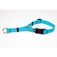 thumbnail image 1 of MPP Deluxe Martingale Dog Collar Adjustable Heavy Soft Brass Hardware (XSmall 10 to 14 Inches, Turquoise), 1 of 1