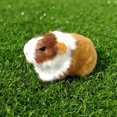 thumbnail image 4 of Guinea Pig Plush Pig Animal Stuffed Soft Small Hamster Toy Cute, 4 of 8