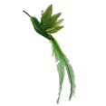 thumbnail image 4 of Cat Catcher Head Feather Bird Replacement Heads Simulation Bird Cat Toy Kitten Wand Toy Interactive Cat Feather Toys A3, 4 of 6