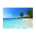 thumbnail image 4 of Esquirla Escargots Stone Sandbeach Turtle Aquarium Background Poster Sticker Sandbeach Sandbeach 61x30cm, 4 of 8