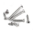thumbnail image 4 of 800pcs M2 Flat Head Self Tapping Screws, Assorted Woodworking Fasteners with Box, for Home Office Repair, 4 of 7