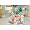 thumbnail image 4 of Fisher-Price Siège Sauteur de Base – Galet, 4 of 9
