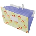 thumbnail image 1 of Meitianfacai A4 Pocket Expandable Plastic Document Sorteraccordion organizer, 1 of 2