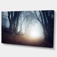 thumbnail image 2 of Magical Trees in Mysterious Forest - Modern Forest Canvas Wall Art, 2 of 3