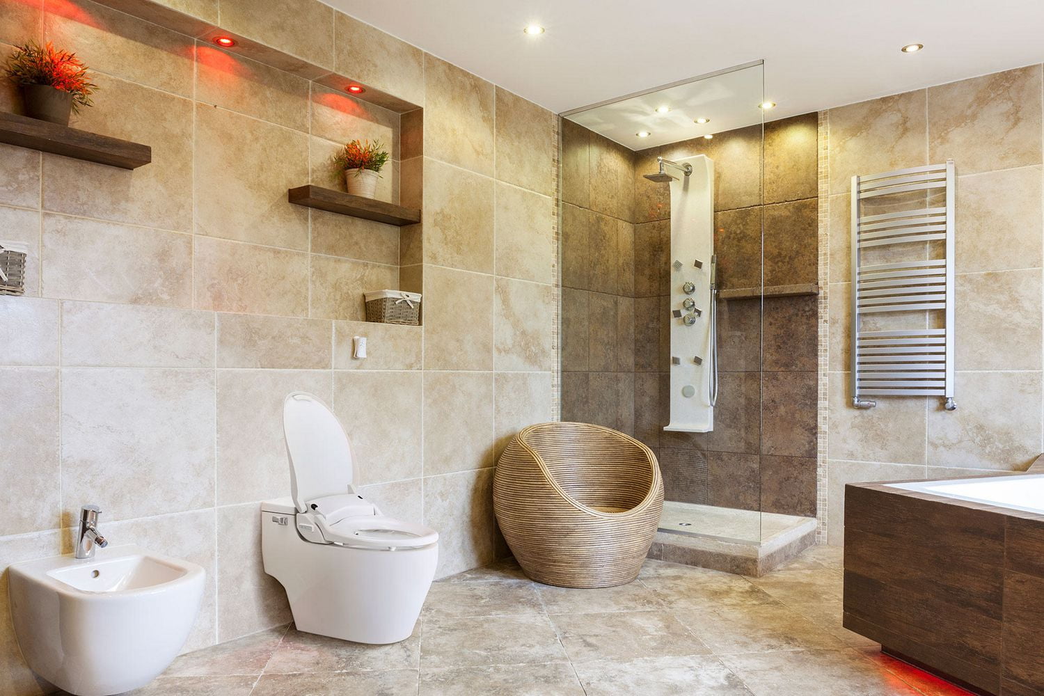 Slim Two Smart Bidet Toilet Elongated Seat