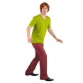 thumbnail image 1 of Déguisement Shaggy Classique pour Homme Scooby Doo, 1 of 6