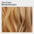 thumbnail image 5 of Eva NYC Shampooing Blond Tone It Down 10 fl oz, 5 of 5