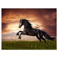 thumbnail image 1 of Design Art Black Friesian Horse Gallop Canvas Print, 1 of 3