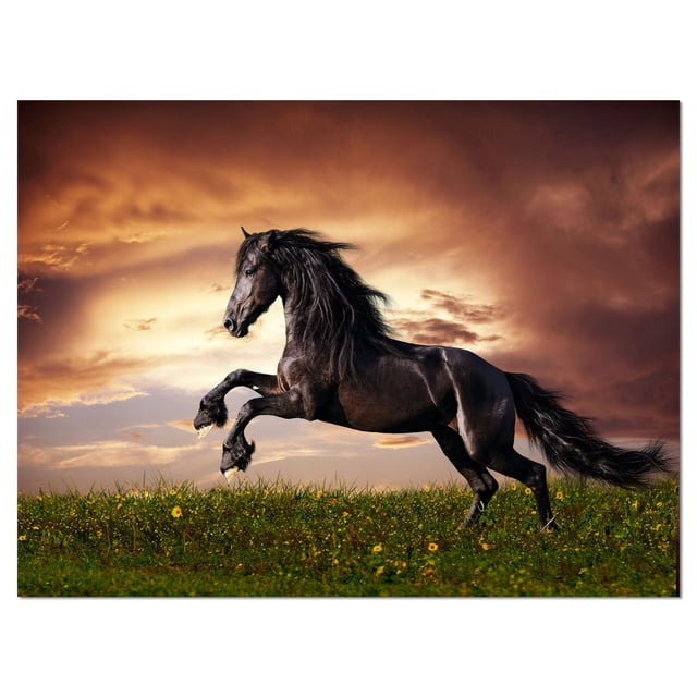 Design Art Black Friesian Horse Gallop Canvas Print depicting a black Friesian horse rearing on its hind legs in a green field with yellow flowers under a dramatic sunset sky, printed on gallery wrapped cotton canvas with a 1-inch wood subframe, ready to hang and made in Canada.