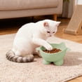 thumbnail image 3 of Green Plastic Cat Food Bowl Large Capacity Pet Drinking Bowl Elevated Design Protects Neck Anti Tip Over Easy To Clean For Cats Green, 3 of 7
