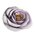 thumbnail image 2 of 3D Flower Mats Irregular Carpet Decorative Rug for Home and Travel Use Lightweight Washable Versatile Entryway Bedroom Living Room Bathroom Camping, 2 of 7