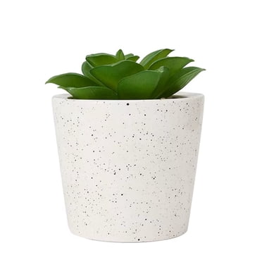 Anko Artificial Succulent #1 in Pot