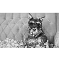 thumbnail image 3 of TopLLC New Pattern Large Dog Bit e And Vent Plush Phonation Toys Pet Toys, 3 of 5