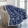 thumbnail image 1 of PAVILIA Premium Christmas Sherpa Throw Blanket | Blue Snowflake Decoration, Fleece, Plush, Warm, Cozy Reversible Microfiber Holiday Blanket 50 x 60 Inches, 1 of 4