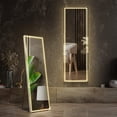 thumbnail image 1 of EDX Rectangle 63"x 20" LED Full Body Mirror, 3 Color Lighting, Free Standing Wall-Mounted for Home, 1 of 7