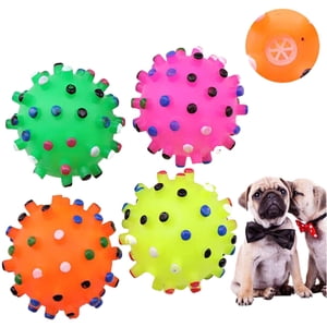Essen Round Squeaky Interactive Training Dog Ball Toy