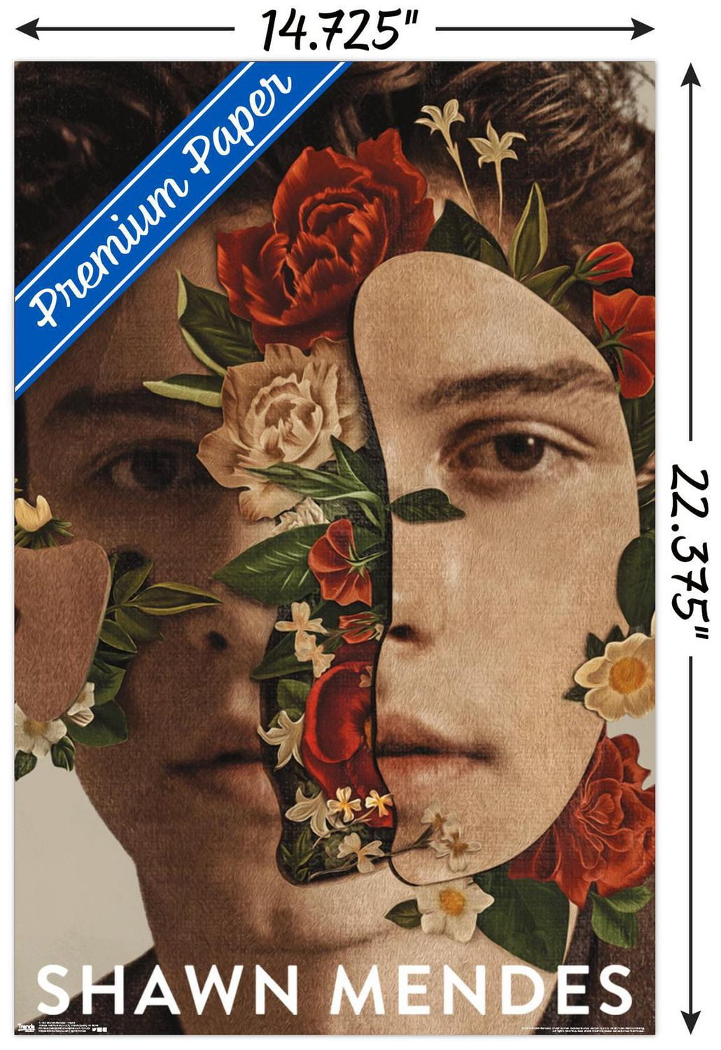 Shawn Mendes