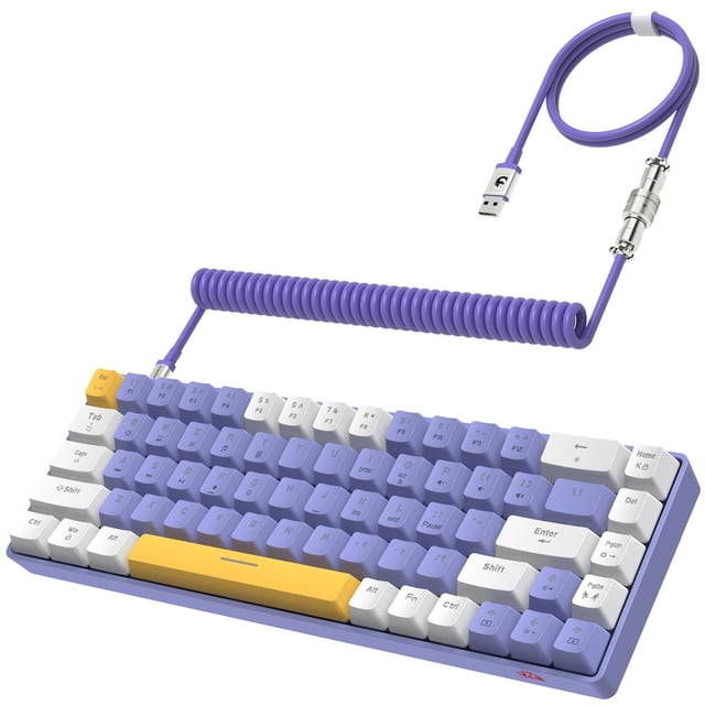 HAOAN T8 Clavier de Jeu 60 % 68 Touches Compact Mini Clavier Mécanique Filaire avec 18 Commutateurs Bleus Rétroéclairés RVB Chroma Câble de Clavier Bobiné USB-C pour PC Portable Mac XBOX - Bleu Blanc