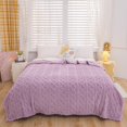 thumbnail image 2 of End of Bed Throw Blanket Lightweight Plush Soft Ice Blanket Breathable Temperature Controlled Air Conditioning Blanket In Summer Suitable for Constant Temperature Blanket In Air Conditioned Room, 2 of 9