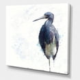 thumbnail image 3 of Designart Oiseau Héron tricolore Art mural sur toile, 3 of 4