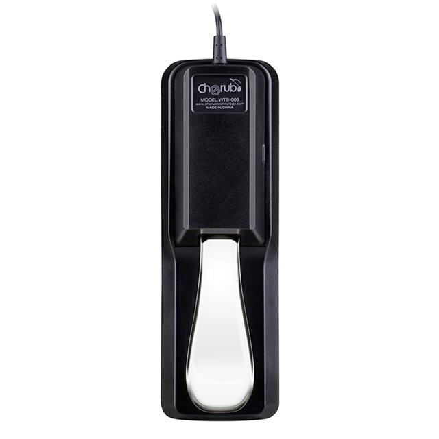 Piano Keyboard Sustain Pedal Damper for Casio Yamaha & More