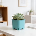 thumbnail image 4 of Mini Succulent Planter Colorful Square Plastic Pot Breathable Small Plant Container Desktop Garden Herb Holder Home Office Shelf Balcony Desk Green Plant Pot Decorative Nursery Gift Container, 4 of 6