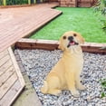 thumbnail image 4 of Dog Garden Decor,Landscape Lawn Garden Courtyard Dog Figurine Decor Figurine Decor Future-Proof Design, 4 of 12